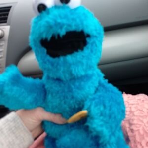 Sesame Street Blue Furry Monster Plush